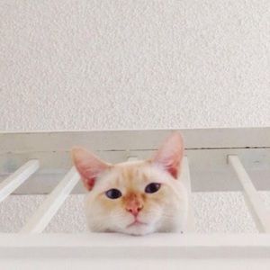 Meet your Posher, Jeanne